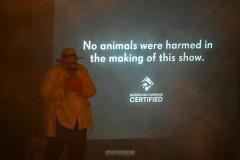 K1600_vpt-drei-fragezeichen-rubin-KAMERAKUNSTcom-11